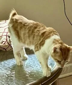 Luke  Nc thumbnail 3