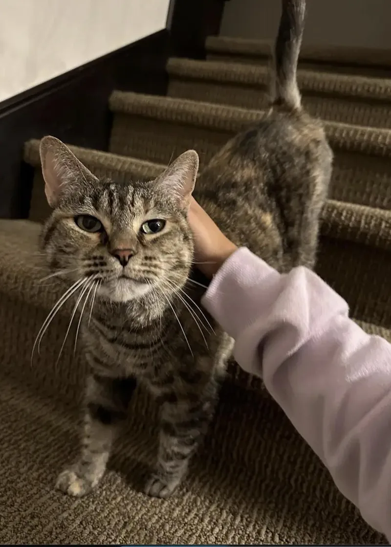 Mimi thumbnail 3