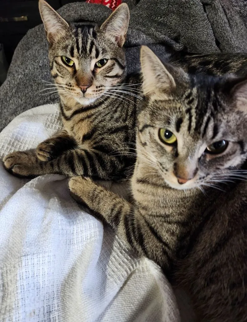 Minnie & Miles thumbnail 2