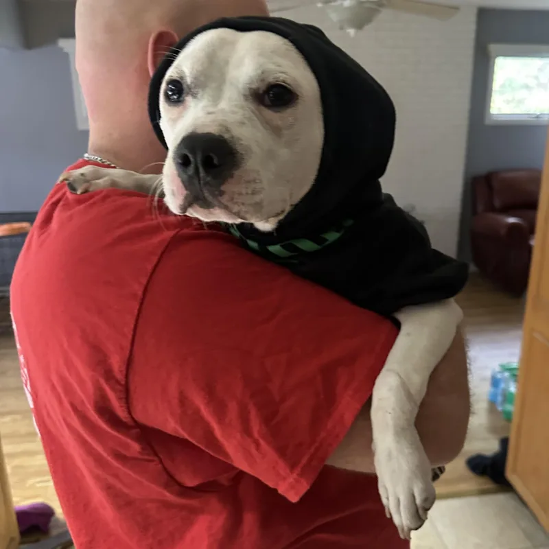 Mood Ring thumbnail 2