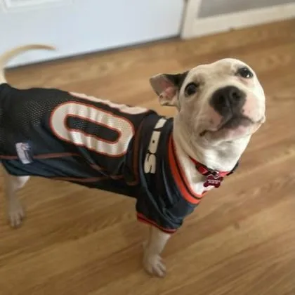 Mood Ring thumbnail 3