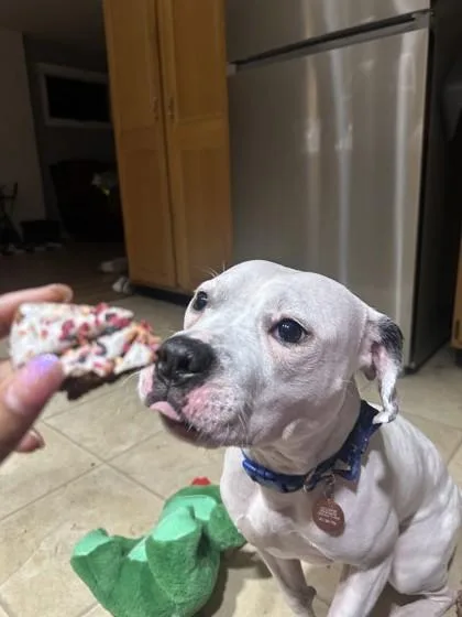 Mood Ring thumbnail 4