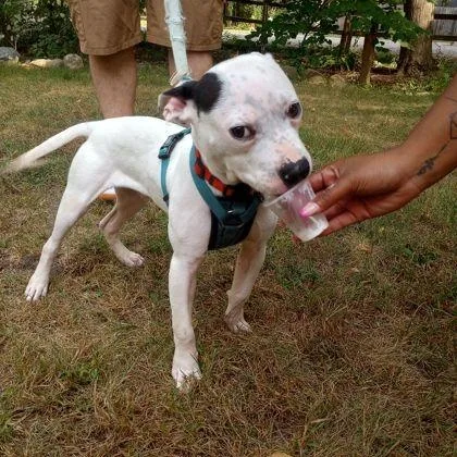 Mood Ring thumbnail 5