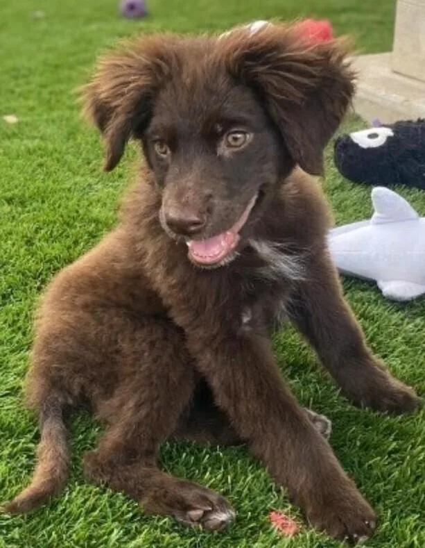 Mercedes thumbnail 2