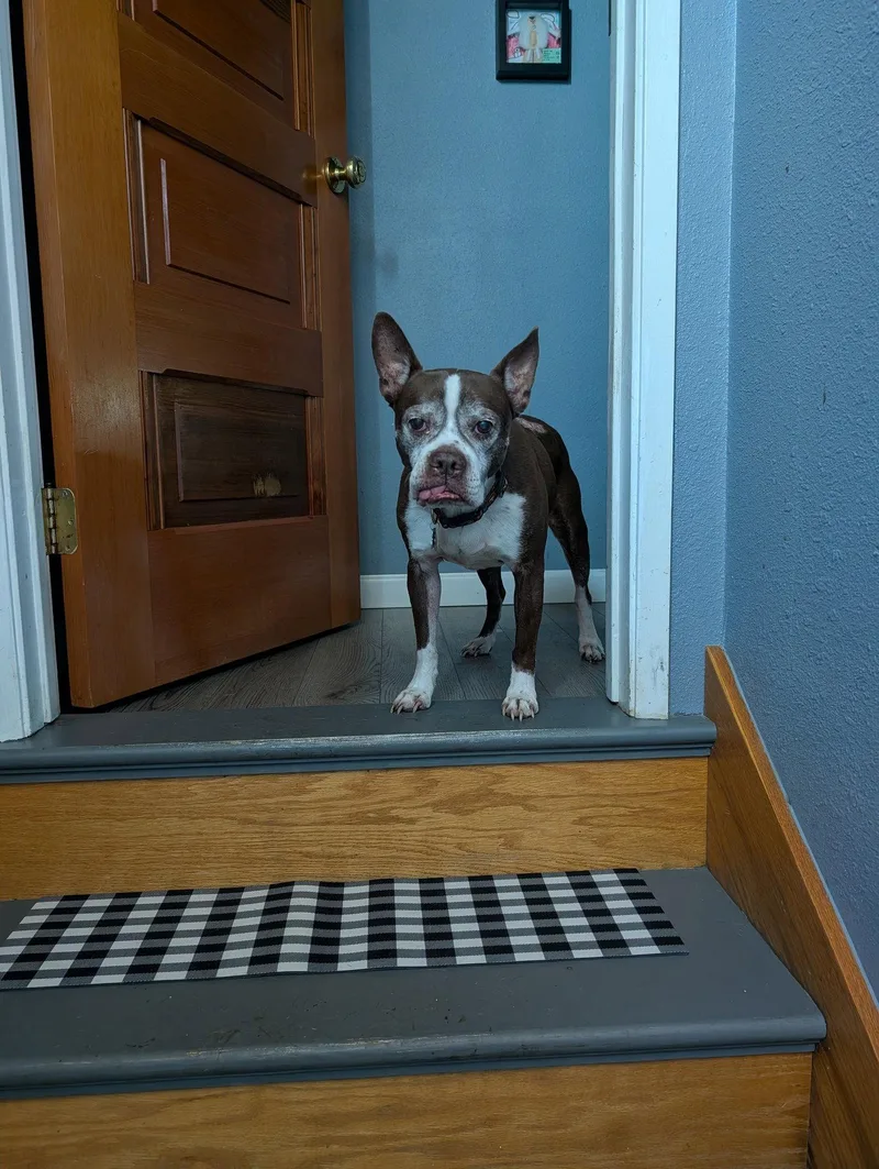 Sir Charles thumbnail 3