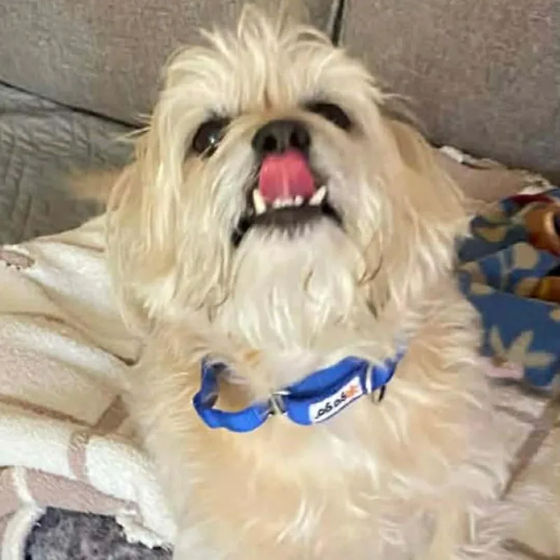 Fergus aka Flex