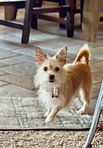 Liliah Rose thumbnail 2