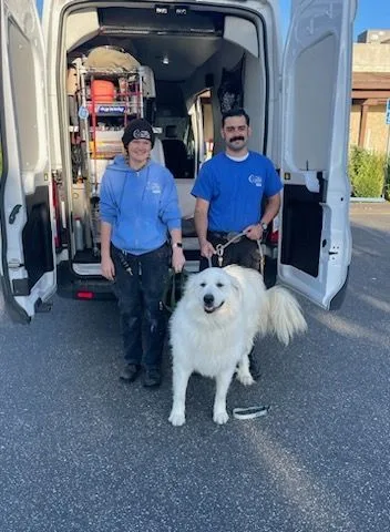 Pressley thumbnail 3