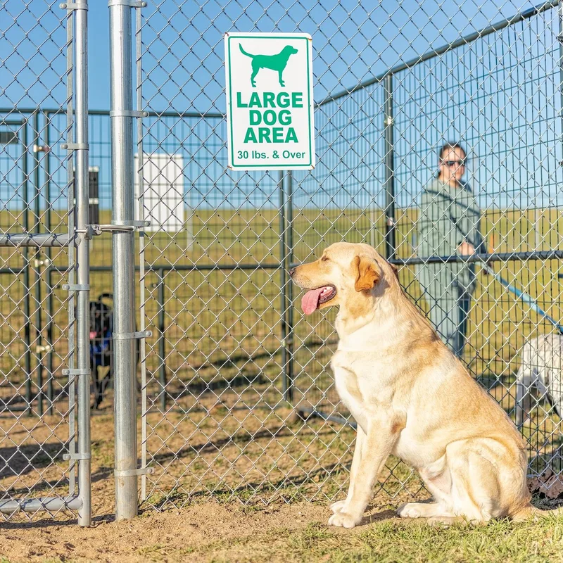 Air Bud thumbnail 2