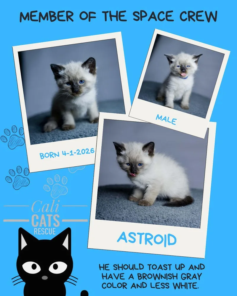 Astroid thumbnail 2