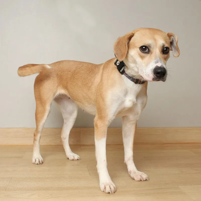 Rylee Jade D thumbnail 2