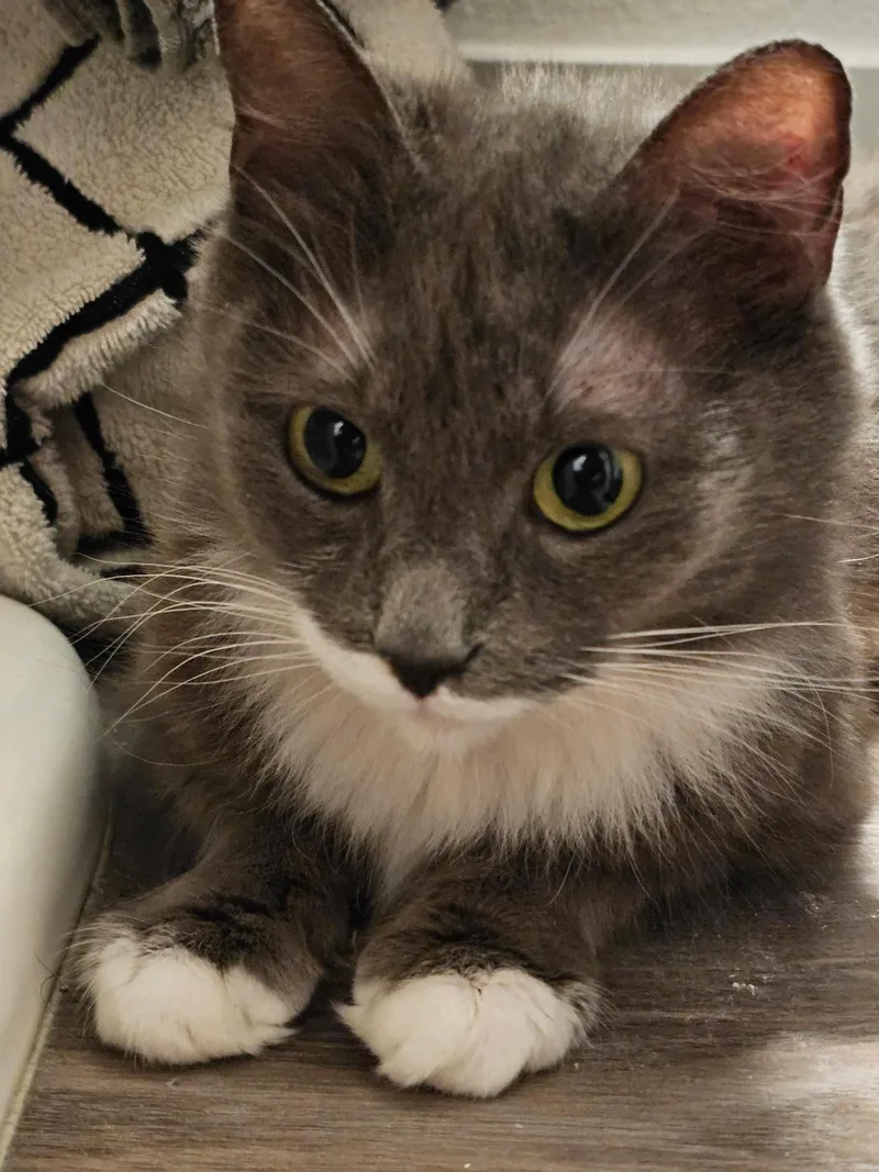 Rosie thumbnail 2
