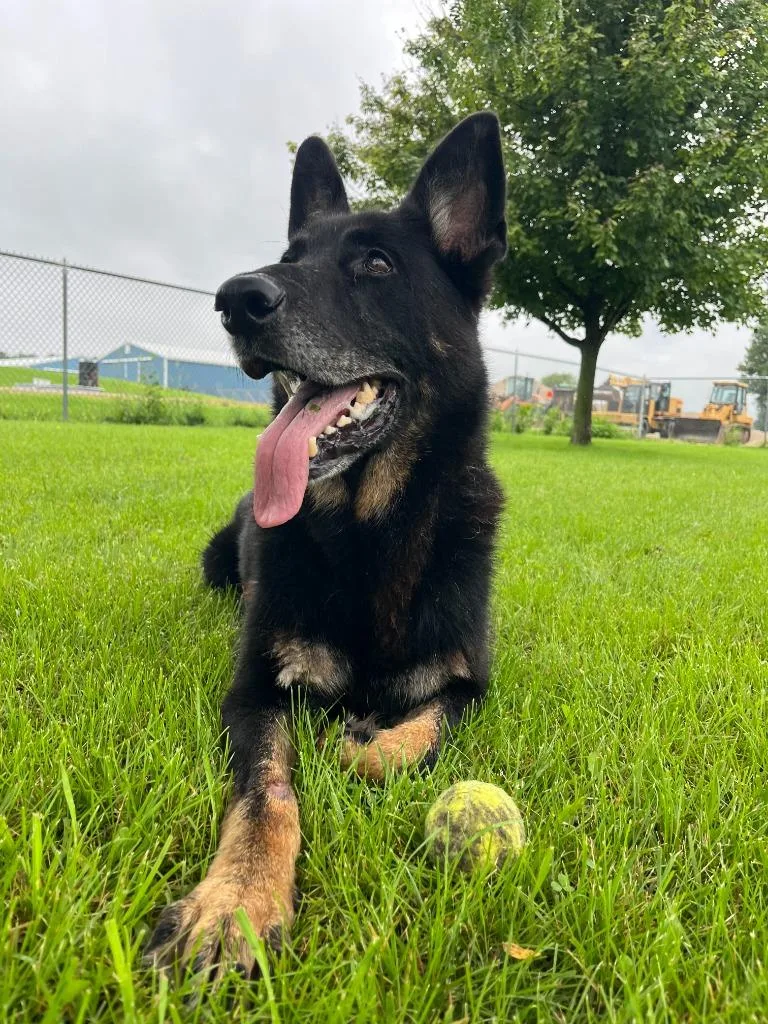 Rambo