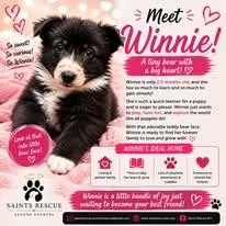 Winnie
