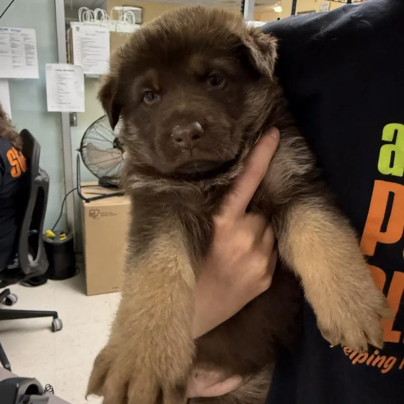 Klondike thumbnail 3