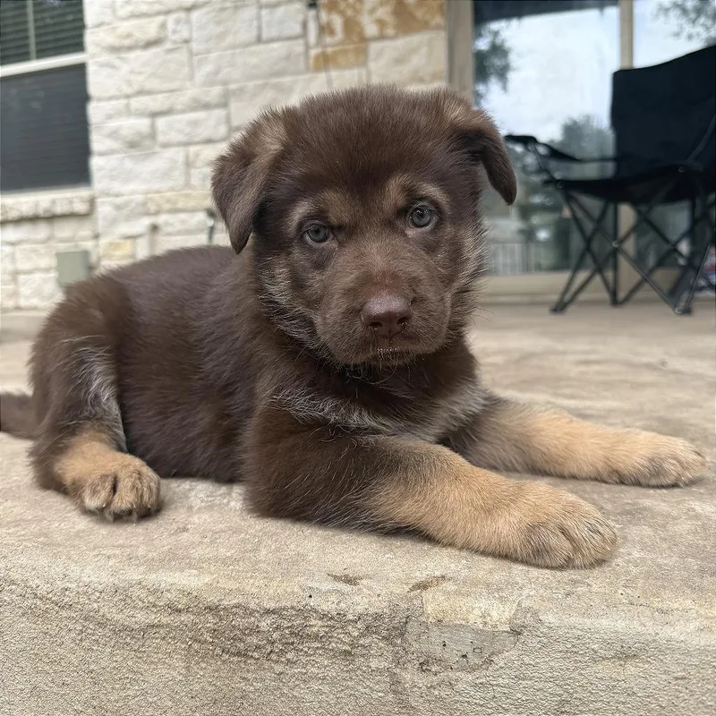 Klondike thumbnail 4