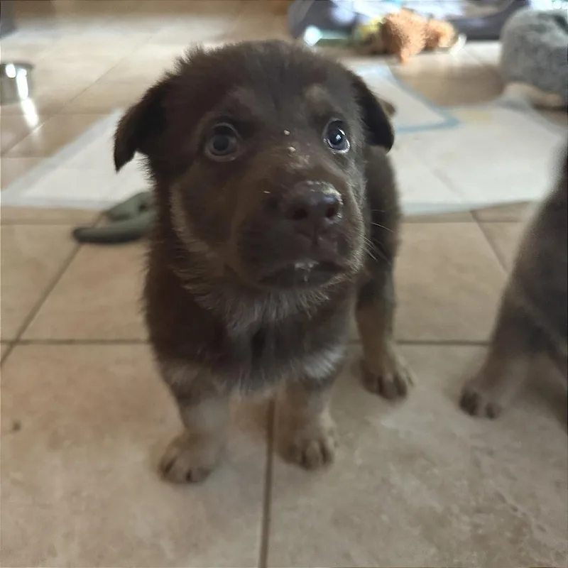 Klondike thumbnail 5