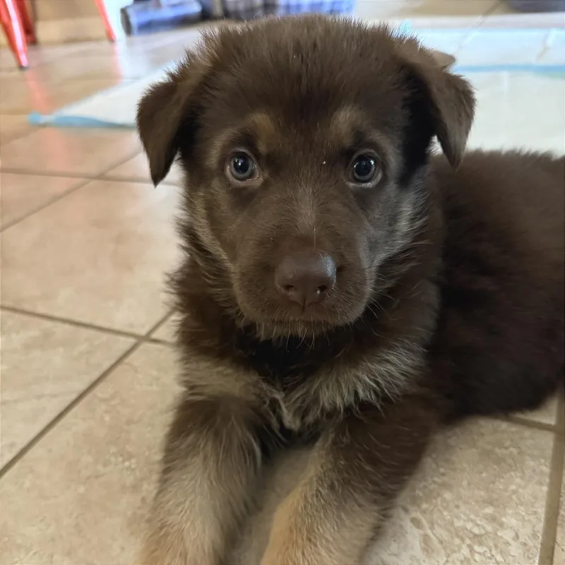 Klondike thumbnail 6