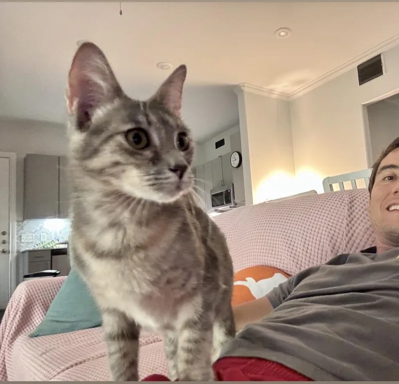Sasha  loves everyone thumbnail 2