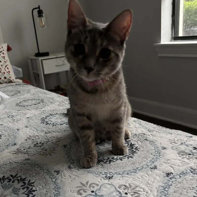 Sasha  loves everyone thumbnail 5