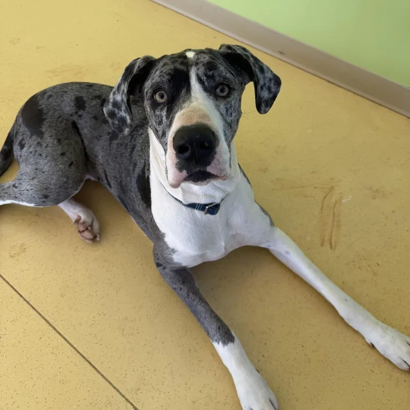 Nova Rayne thumbnail 5