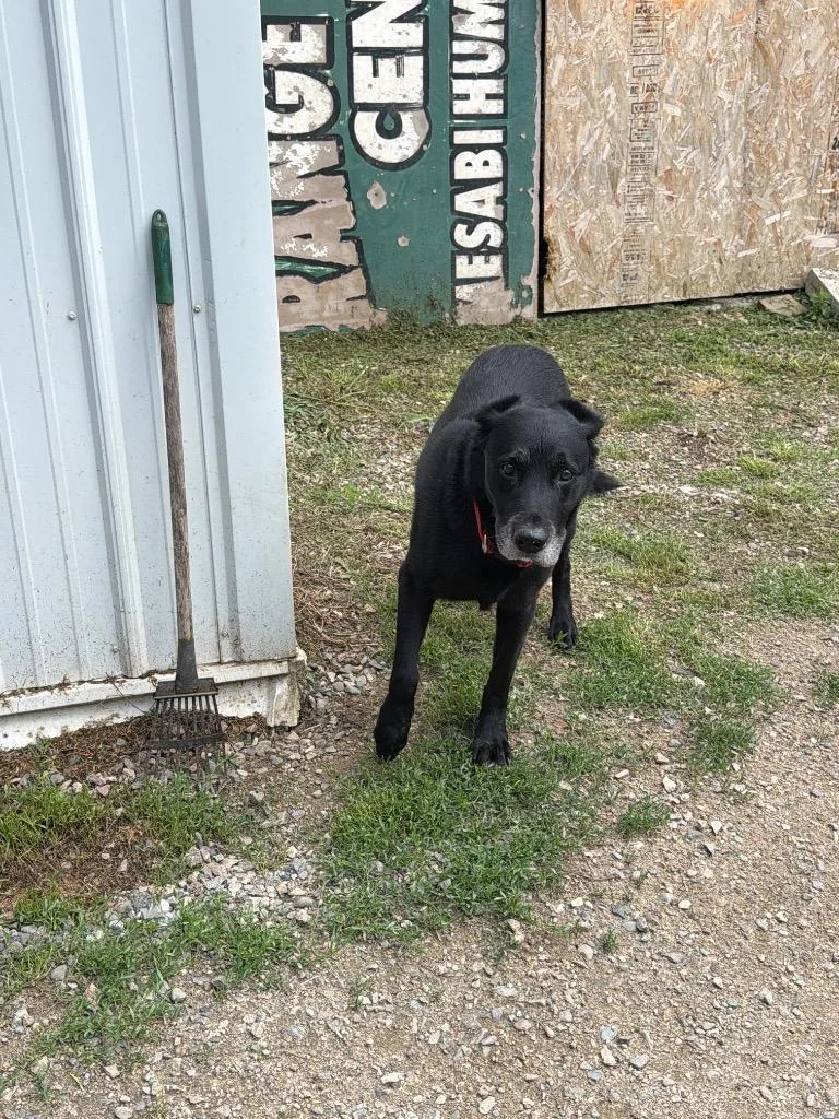 Spike