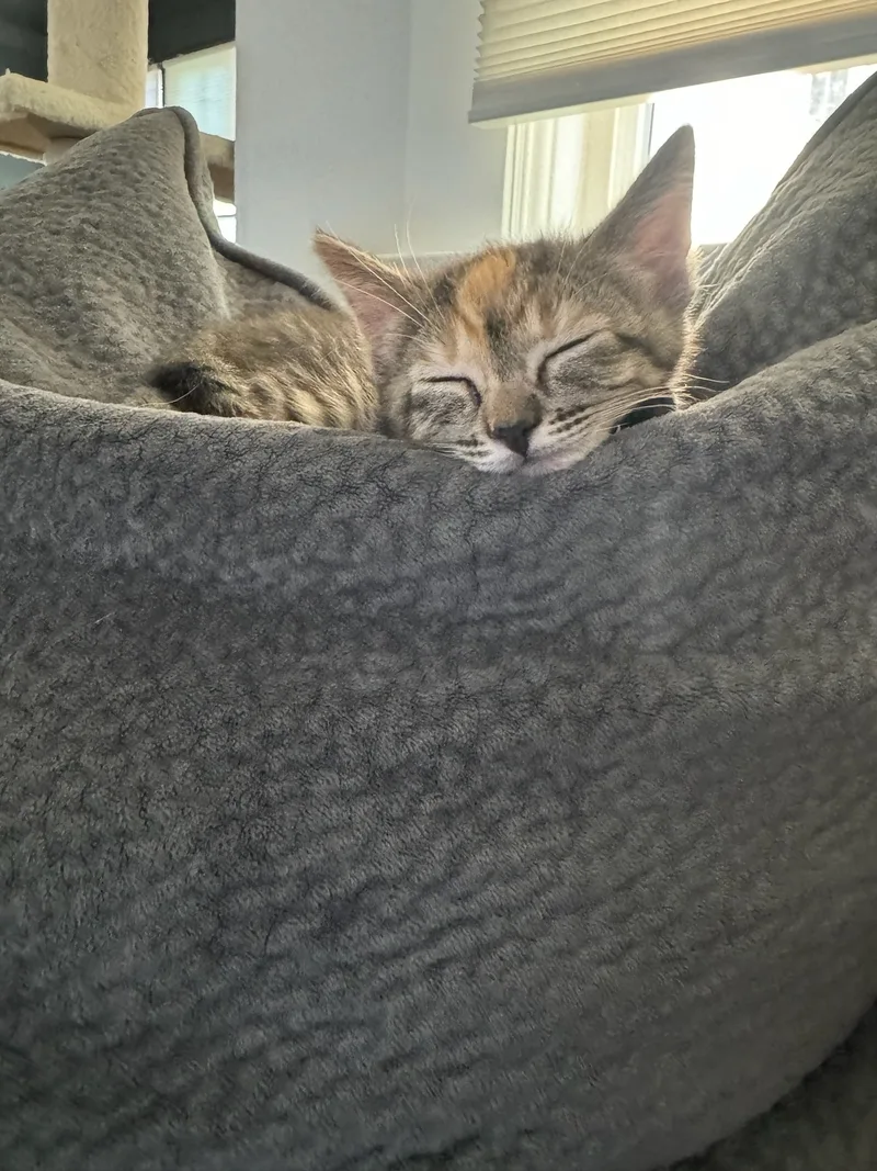 Stubbs!! thumbnail 4