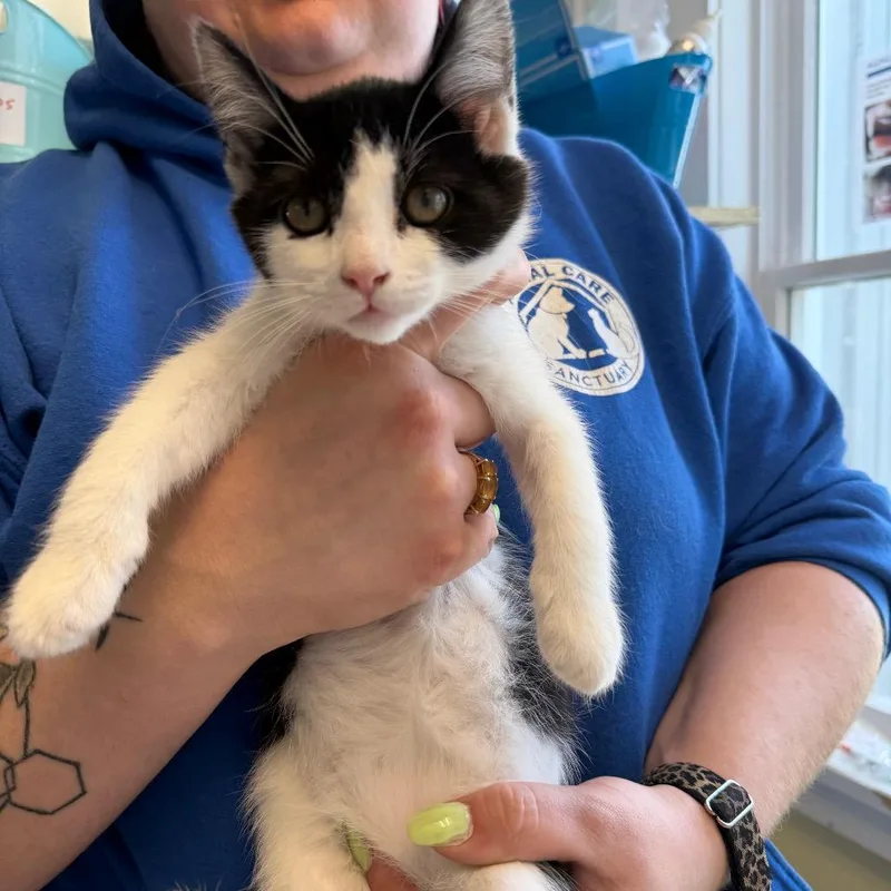 Sour Green Apple Ice thumbnail 2