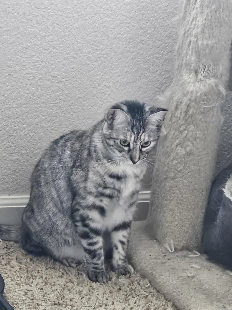 Darla & Galinda thumbnail 6