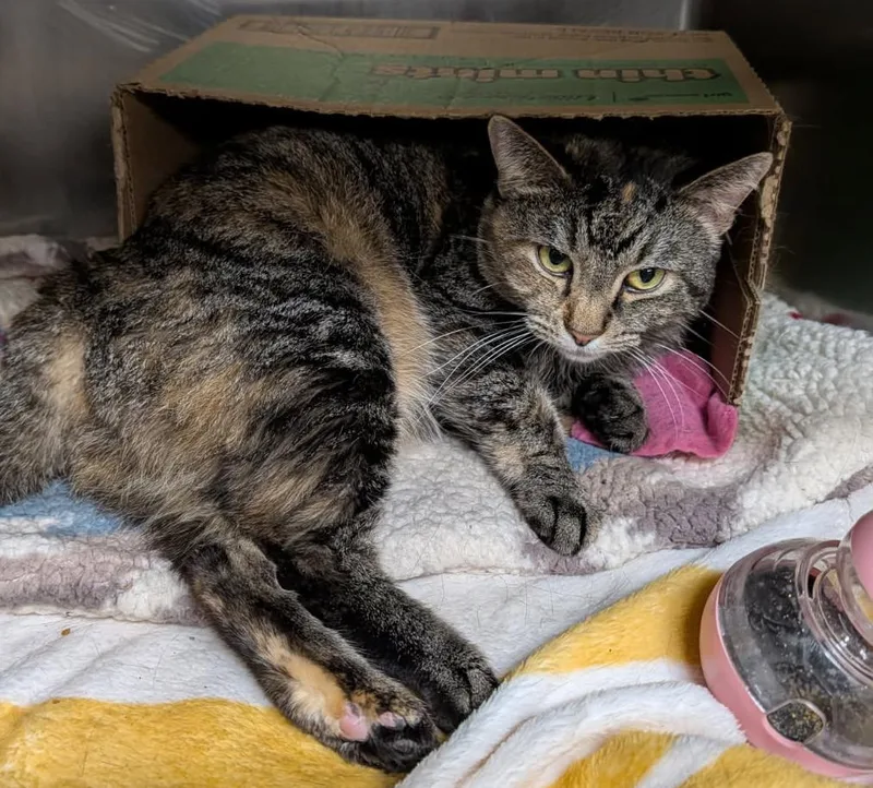 Taylor Aka Lily thumbnail 6