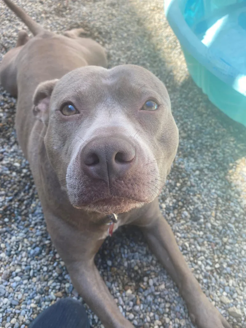 Lil Mama thumbnail 2