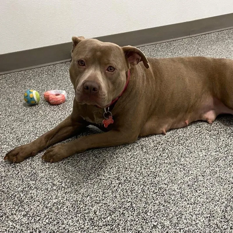 Lil Mama thumbnail 3