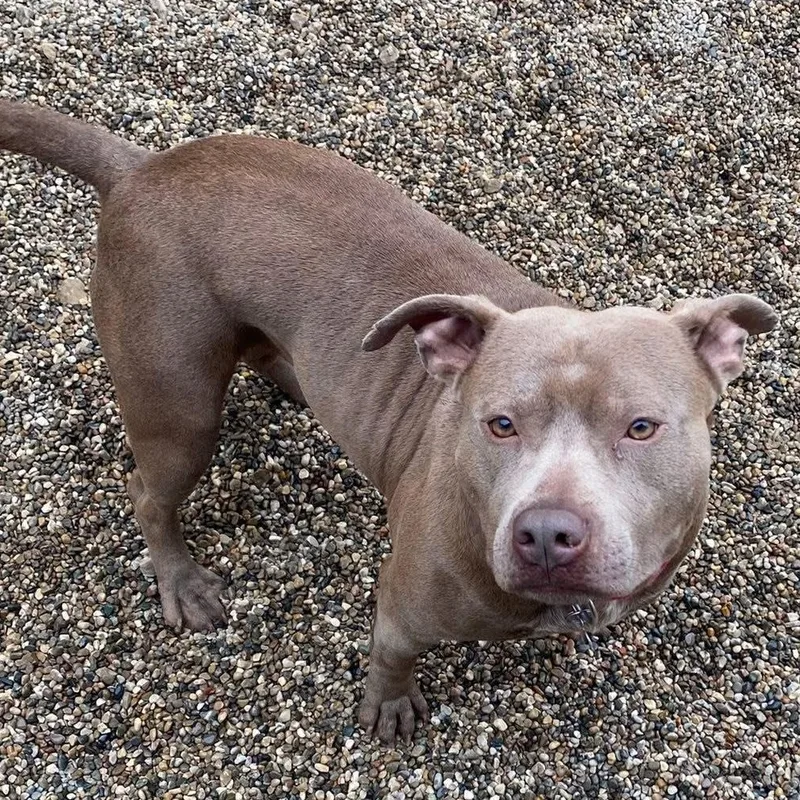 Lil Mama thumbnail 4