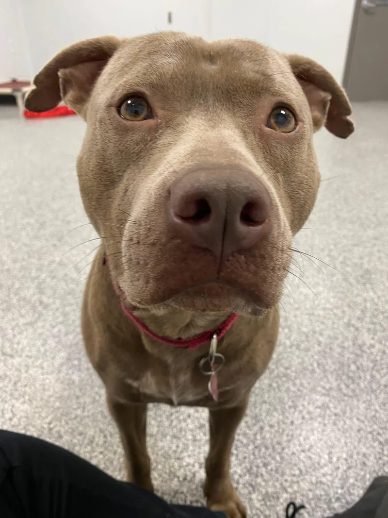 Lil Mama thumbnail 6