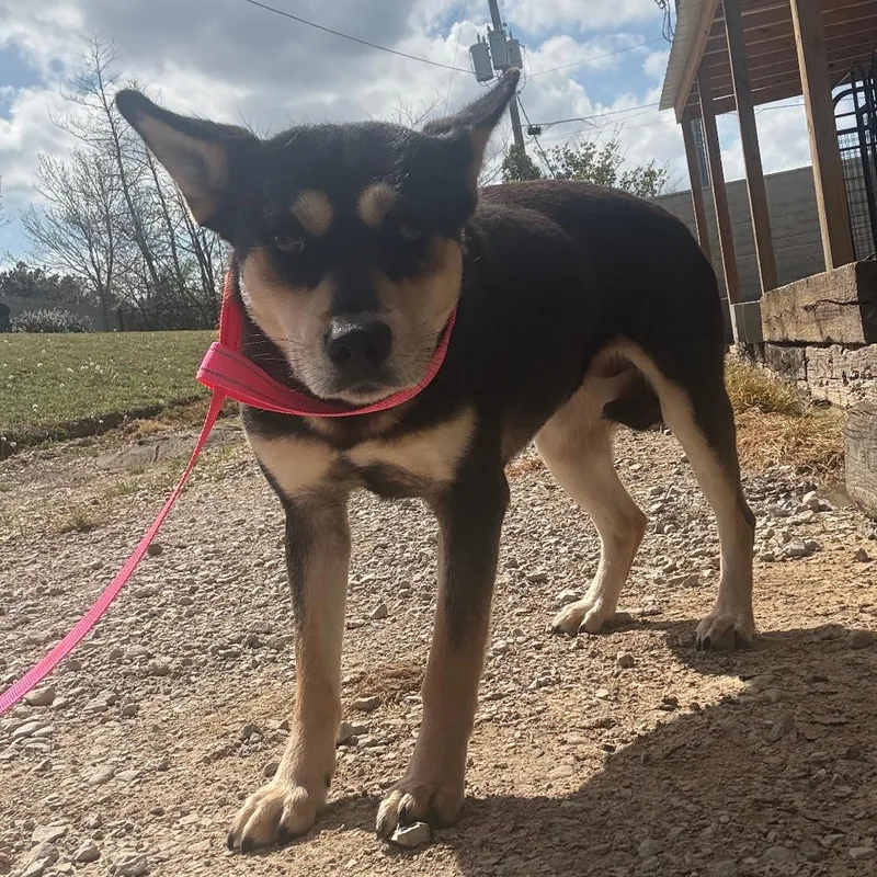 Lucie  U thumbnail 3