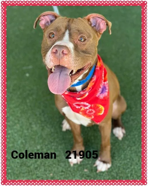 Coleman thumbnail 2