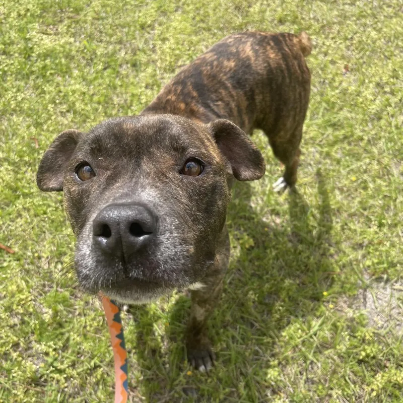 Brooklyn thumbnail 5