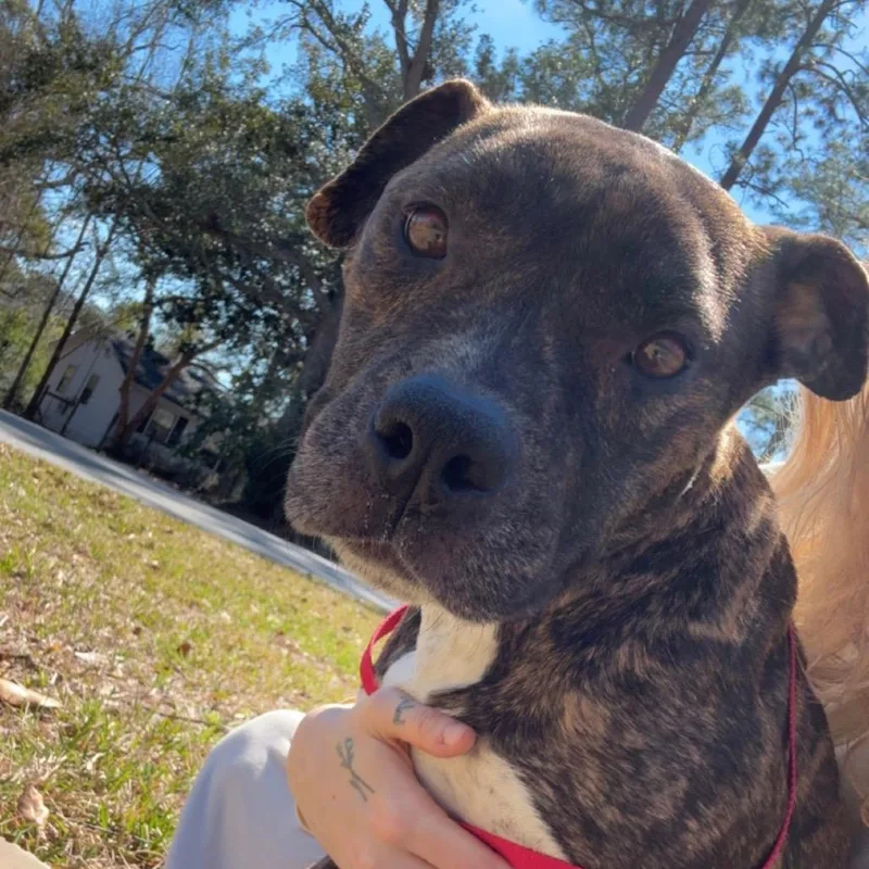 Brooklyn thumbnail 6