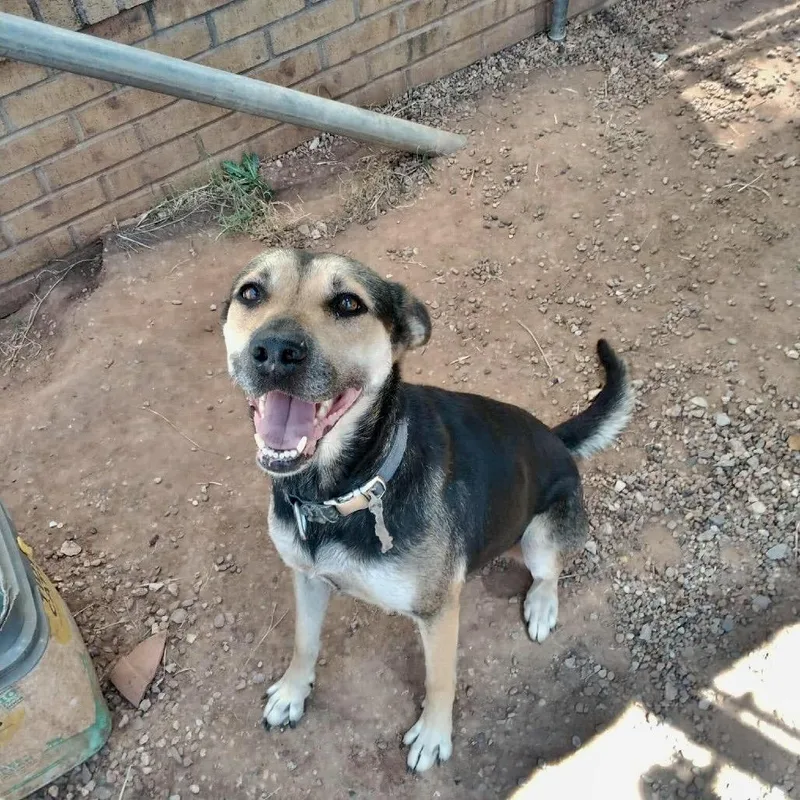 Barbara Gordon thumbnail 2