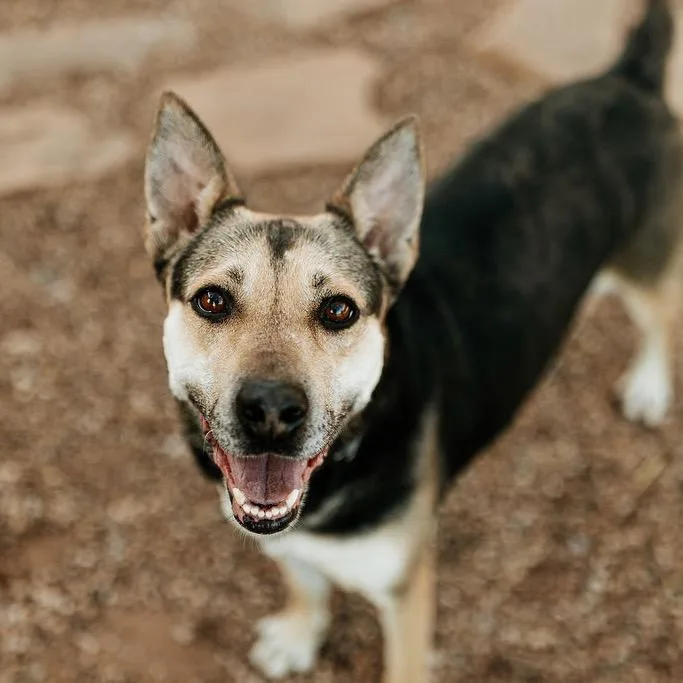 Barbara Gordon thumbnail 3