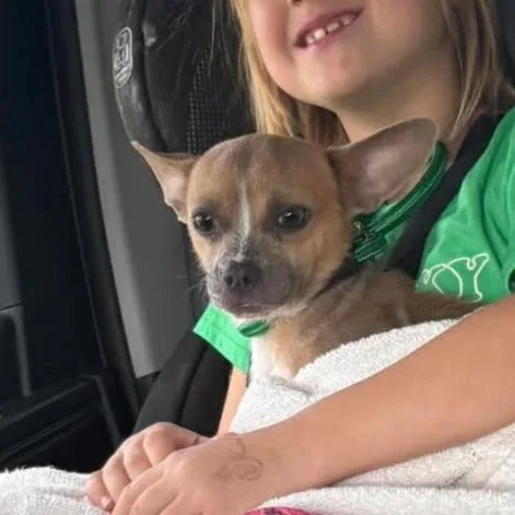 Nudella D Arriving thumbnail 4