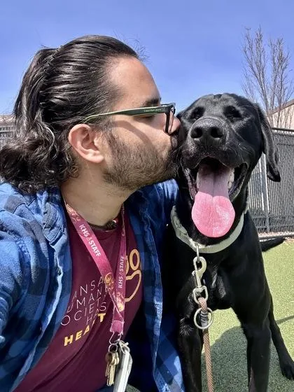 An adult large-sized male Black Mixed Breed dog named Little Foot for adoption in Wichita, KS