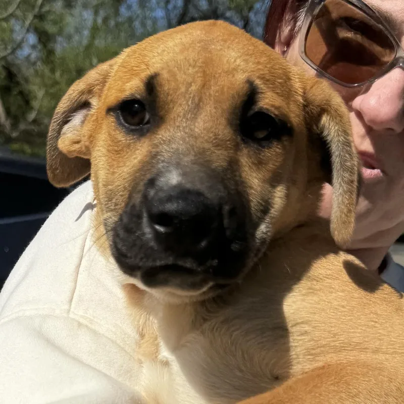 Ny Lindy Avail Apr thumbnail 2