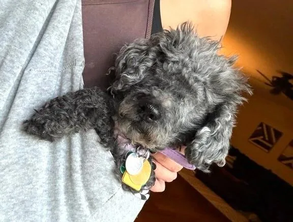 Eleanor thumbnail 2