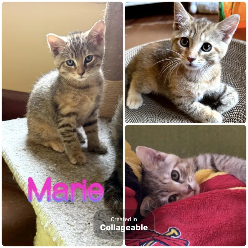 Marie