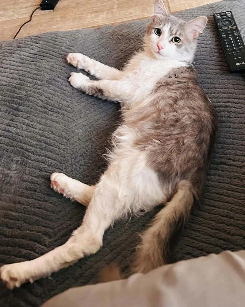 Tom