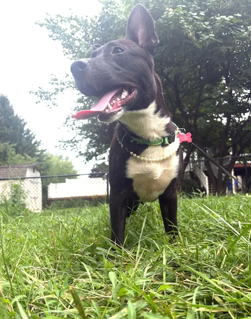 Lulu Luv Bug thumbnail 6