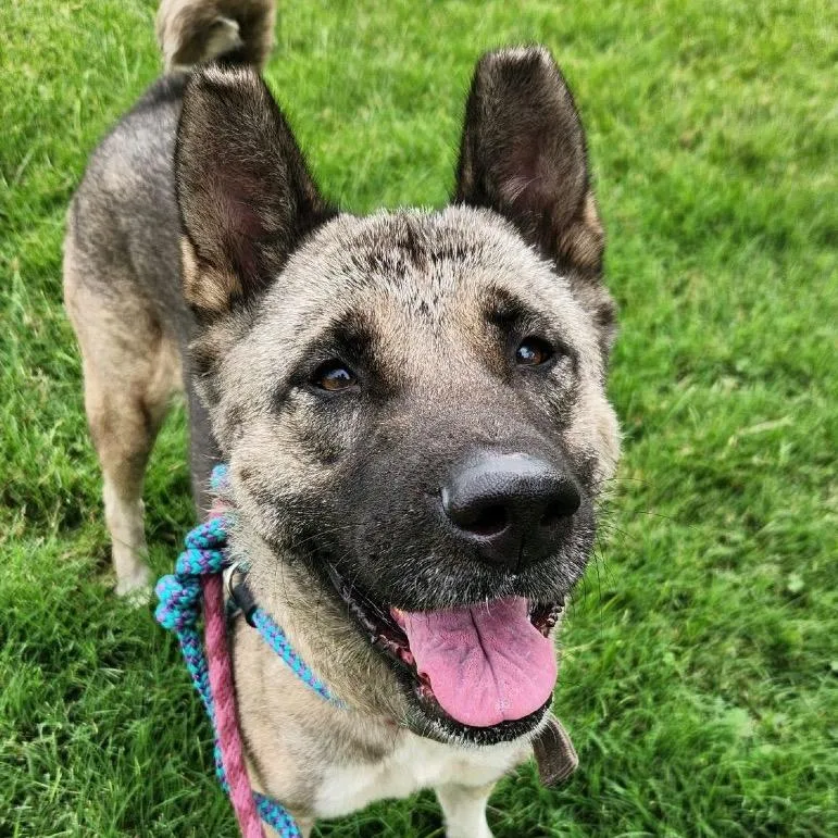 Pearlena thumbnail 3