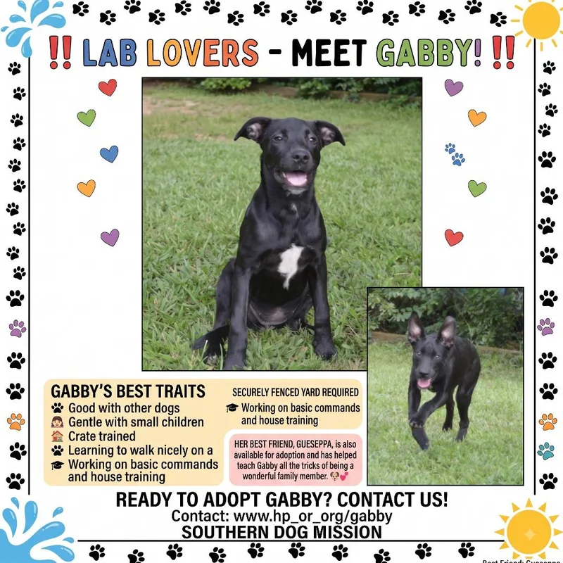 Gabby