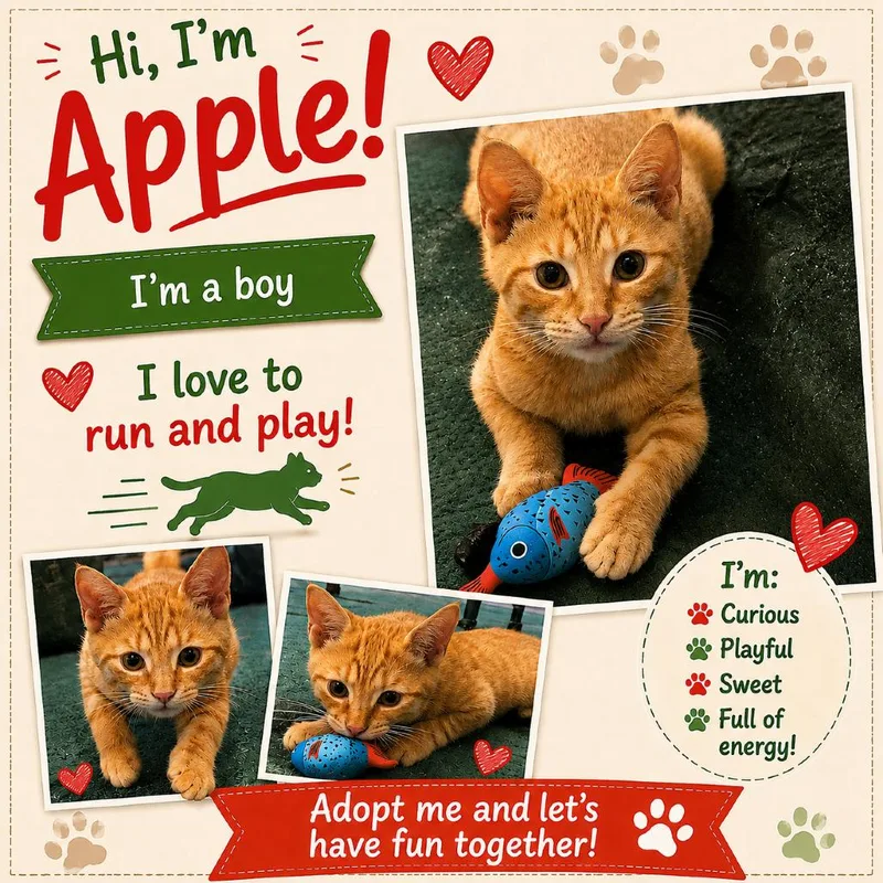 Apple thumbnail 4